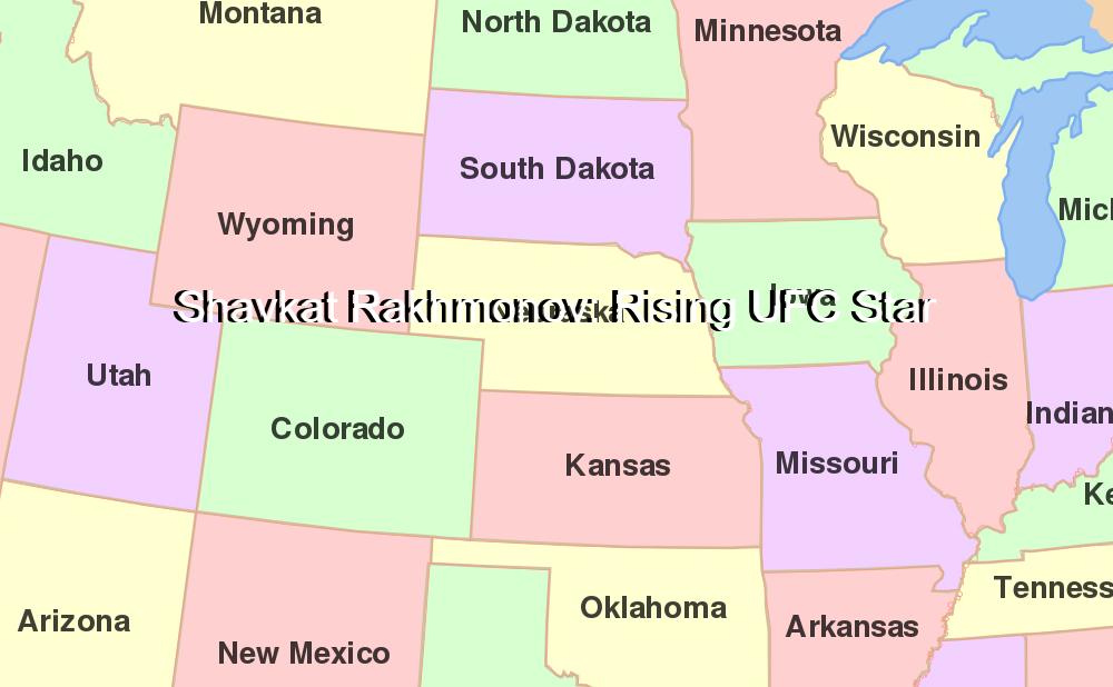 Shavkat Rakhmonov: Rising UFC Star